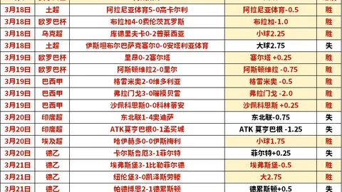 阿姆拉巴特成費內巴切與加拉塔薩雷目標，佛羅倫薩未定夺